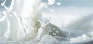 Chống ung thư từ việc uống sữa và còn nhiều lợi ích bất ngờ khác
