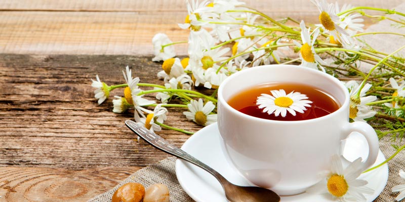 Tinh chất trong trà hoa cúc còn giúp cải thiện nhiệt độ bên trong của cơ thể, từ đó giúp hệ thống tự điều chỉnh và nó khiến bạn buồn ngủ hơn.
