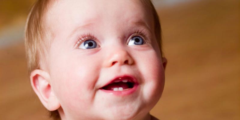 Khi bé bắt đầu mọc 2 chiếc răng cửa đầu tiên thì các bậc làm cha mẹ nên cho các bé đánh răng để làm quen với việc đánh răng và vệ sinh răng miệng sau này.