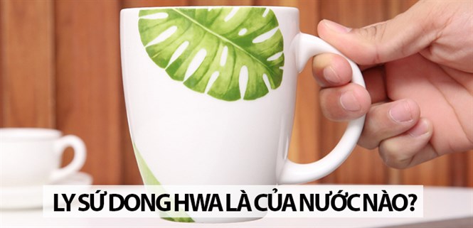 Ly sứ Dong Hwa là của nước nào? Có nên mua không?