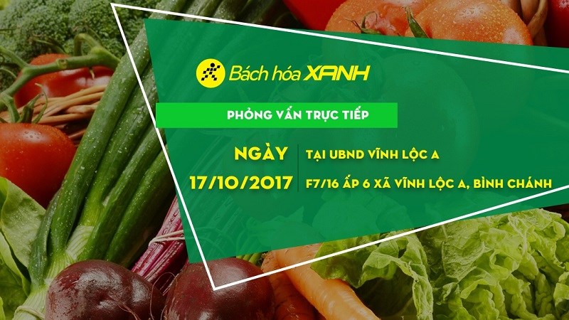 Tuyển nhân viên chính thức, làm việc tại hệ thống siêu thị Bách Hóa Xanh