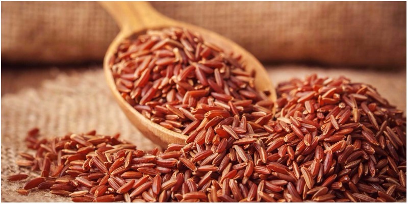 Gạo mầm hay gạo lứt, ăn loại nào sẽ tốt cho sức khỏe hơn?