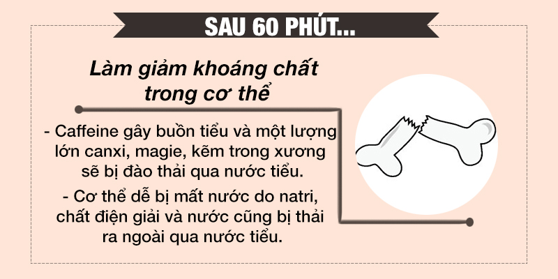 Cơ thể bạn sẽ ra sao sau khi uống Coca Light?