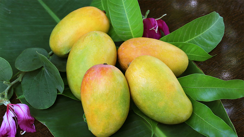 Mangoes contain many nutrients