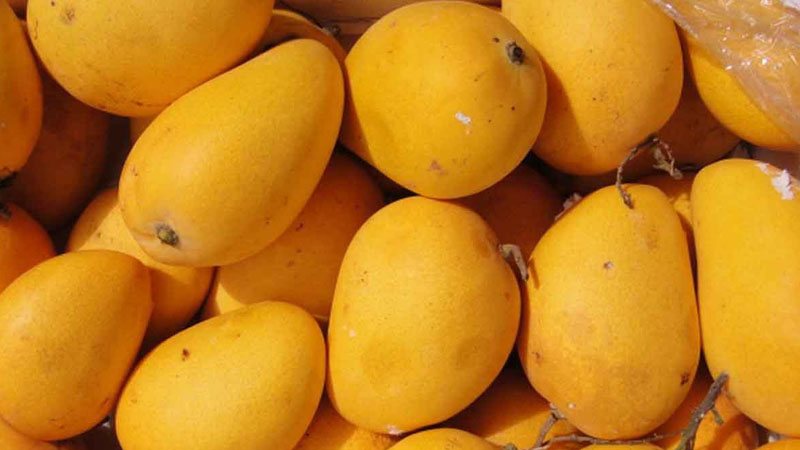 Supermarket selling mangoes at the best price