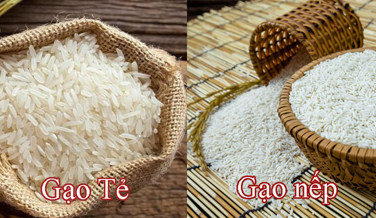 Phân biệt gạo nếp và gạo tẻ, chúng được dùng để nấu món gì?