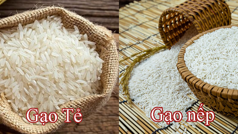 Phân biệt gạo nếp và gạo tẻ