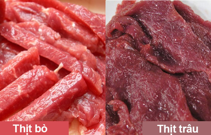 Phân biệt thịt bò và thịt trâu nhanh chóng
