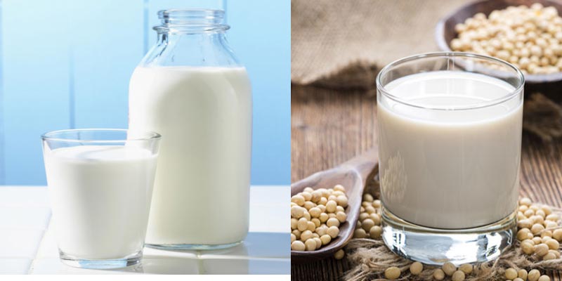 Nên chọn sữa tươi hay sữa đậu nành ?