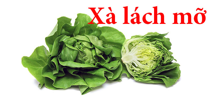 Xà lách mỡ