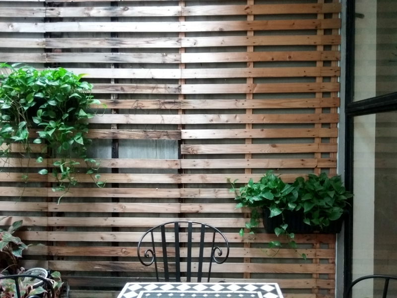 Ảnh chụp từ camera chính Ảnh chụp từ camera chính