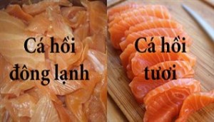 Phân biệt cá hồi đông lạnh và cá hồi tươi