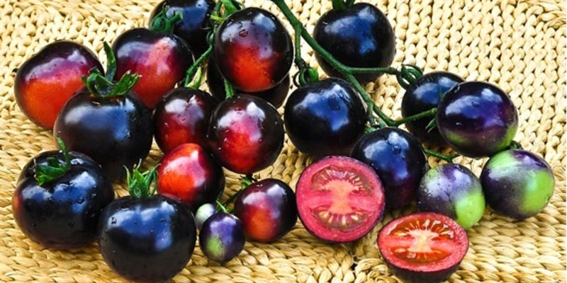 Trong rau củ và trái cây màu đen chứa hàm lượng chất chống oxy hóa cao
