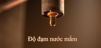 Cách phân biệt nước mắm dựa trên độ đạm