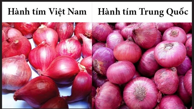 Cách phân biệt hành tím Việt Nam và Trung Quốc