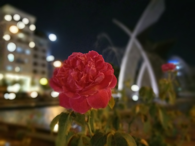 cameraprimexmax2018 cameraprimexmax2018