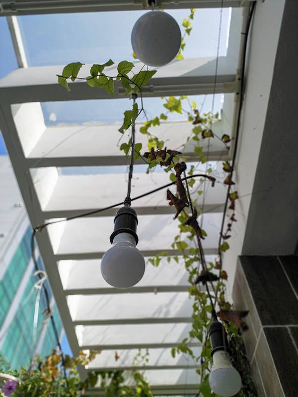 Đánh giá camera Nokia 8