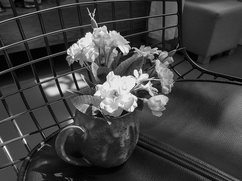 Đánh giá camera Nokia 8