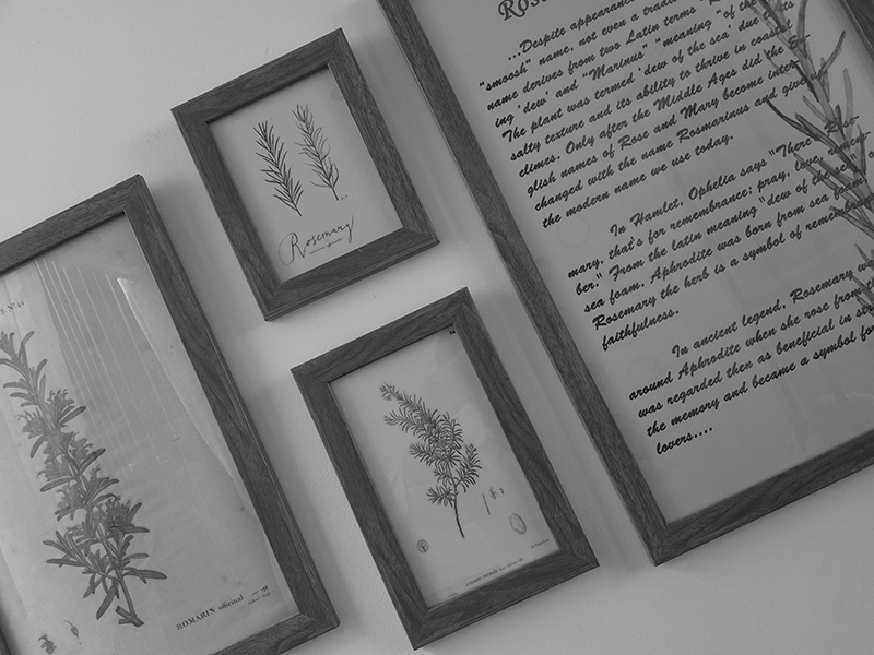 Đánh giá camera Nokia 8