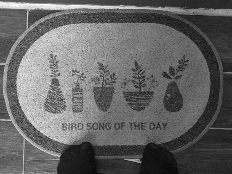 Đánh giá camera Nokia 8