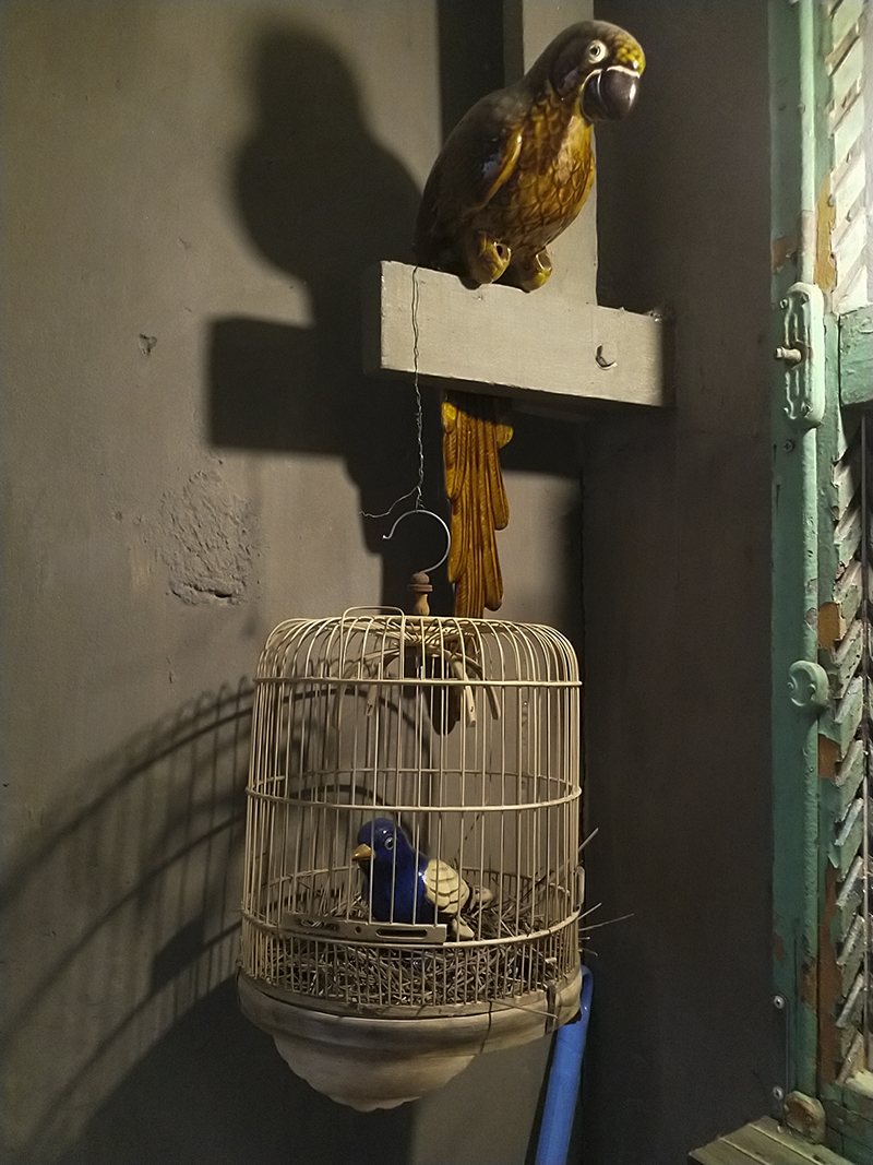 Đánh giá camera Nokia 8