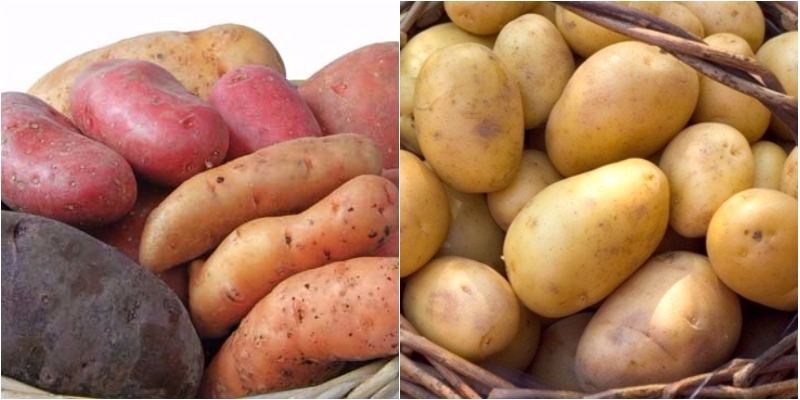 Khoai tây hay khoai lang khi được chiên giòn, xào đều không tốt cho sức khỏe 