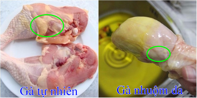 Cách đơn giản nhận biết gà không bị nhuộm hóa chất làm vàng da