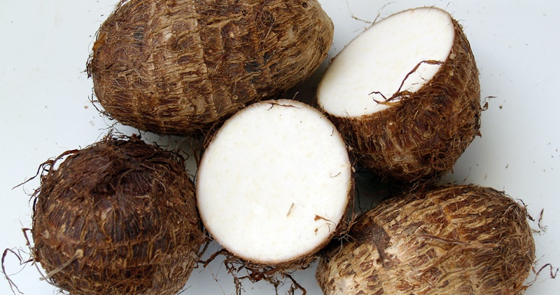 Kích cỡ Kích cỡ