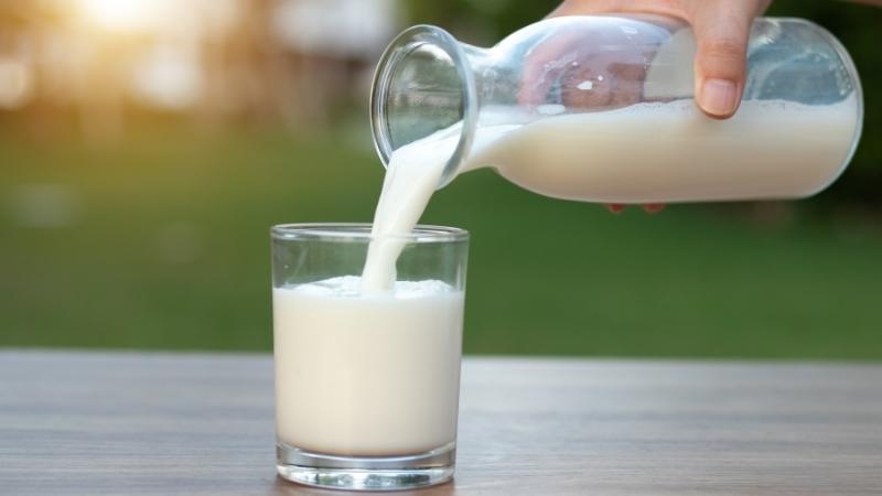 Uống sữa và các chế phẩm từ sữa