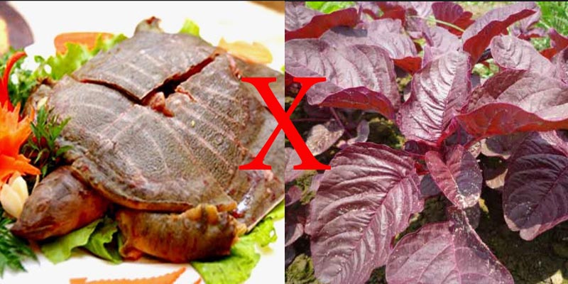 Theo Đông y, thịt ba ba không nên kết hợp với rau dền bởi chúng có thể gây ngộ độc