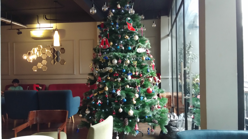 Ảnh chụp từ camera chính