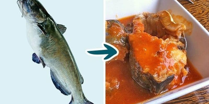 Loại cá này vô cùng nguy hiểm đối với người dùng, đặc biệt là trẻ nhỏ. Loại cá này vô cùng nguy hiểm đối với người dùng, đặc biệt là trẻ nhỏ.