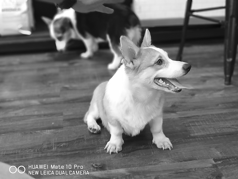 Đánh giá chi tiết Huawei Mate 10 Pro