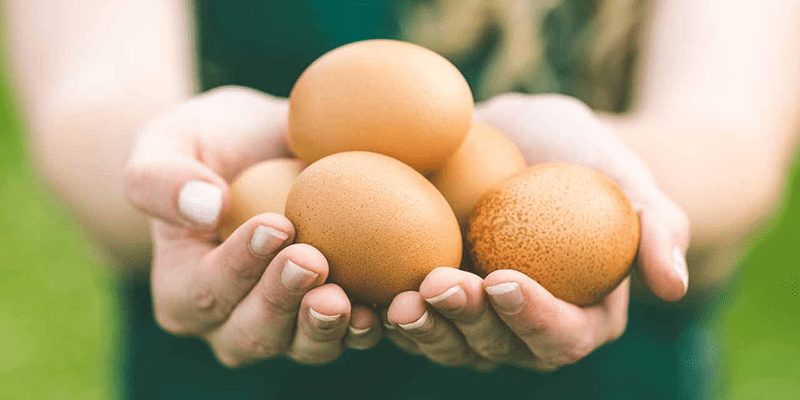 ăn trứng mỗi ngày có tốt không?