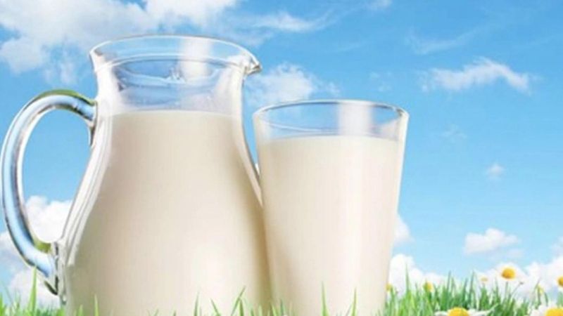 Sữa chứa nhiều protein, chúng sản sinh những chất dư nhầy có thừa ở trong đường ruột