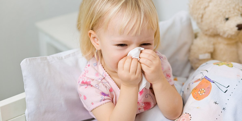 Kiêng ăn tôm, thịt gà khi bé bị ho là làm giảm sức đế kháng thêm. Kiêng ăn tôm, thịt gà khi bé bị ho là làm giảm sức đế kháng thêm.