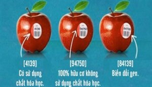 Bạn có biết ý nghĩa của những mã số trên trái cây?