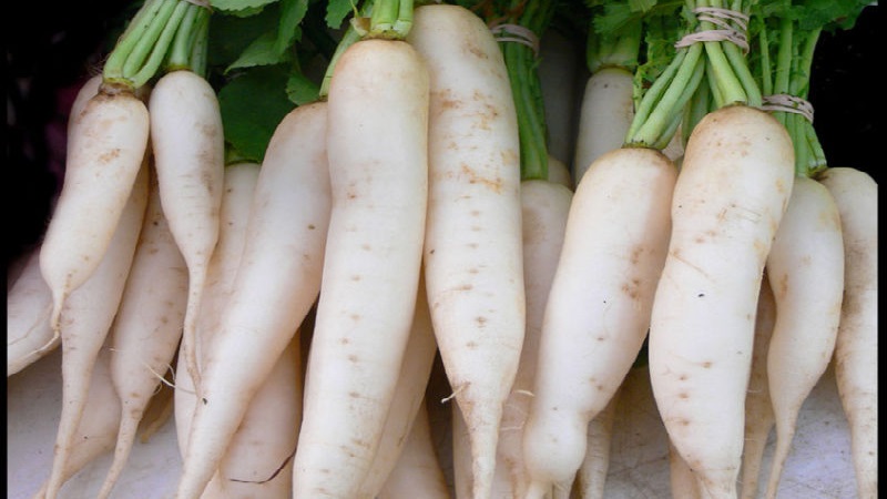Nutritional value of white radish