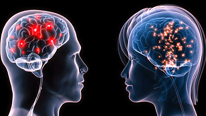 Hợp nhất não người với máy tính