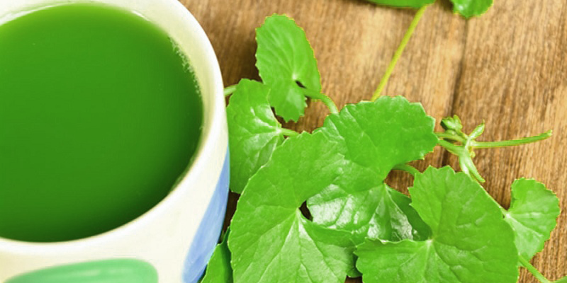 Sai lầm khi uống nước rau má- Uống nước rau má khi đang sử dụng một số loại thuốc