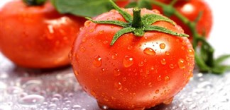 Cách nhận biết cà chua Trung Quốc