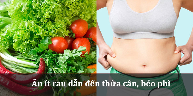 Ăn quá ít rau dễ bị thừa cân, béo phì