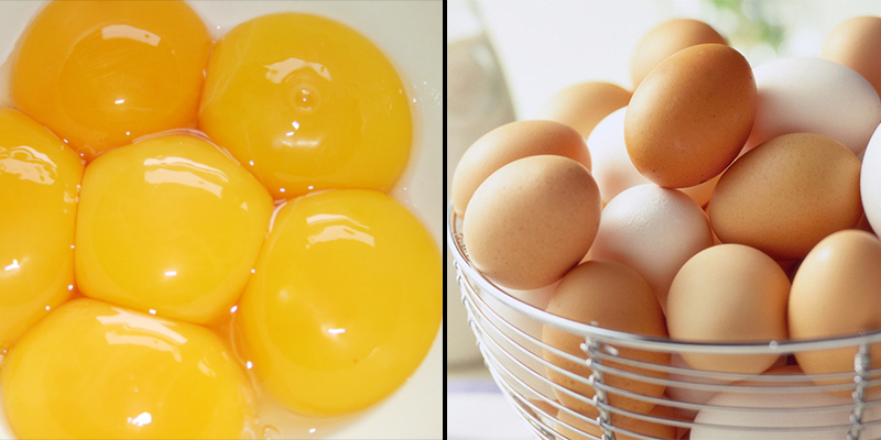 Ăn nhiều trứng có hại gan?