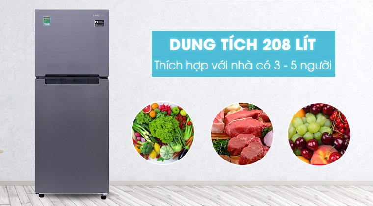 Tủ lạnh Samsung 208 lít RT19M300BGS/SV