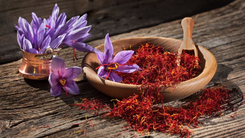 Sữa saffron (nhụy hoa nghệ tây)