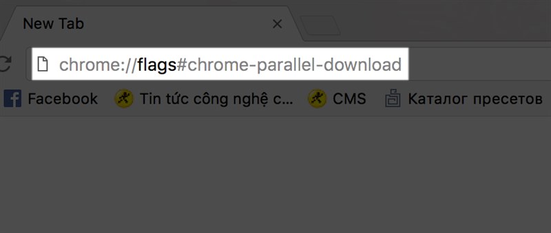 Chrome //flags parallel downloading