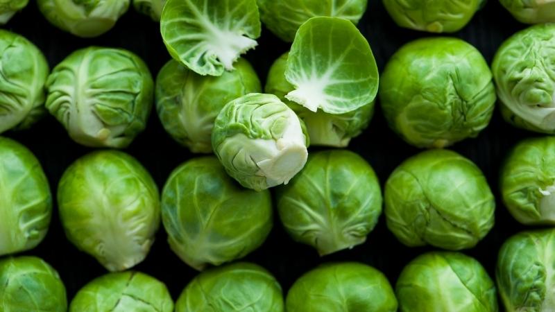 Cải Brussel Cải Brussel