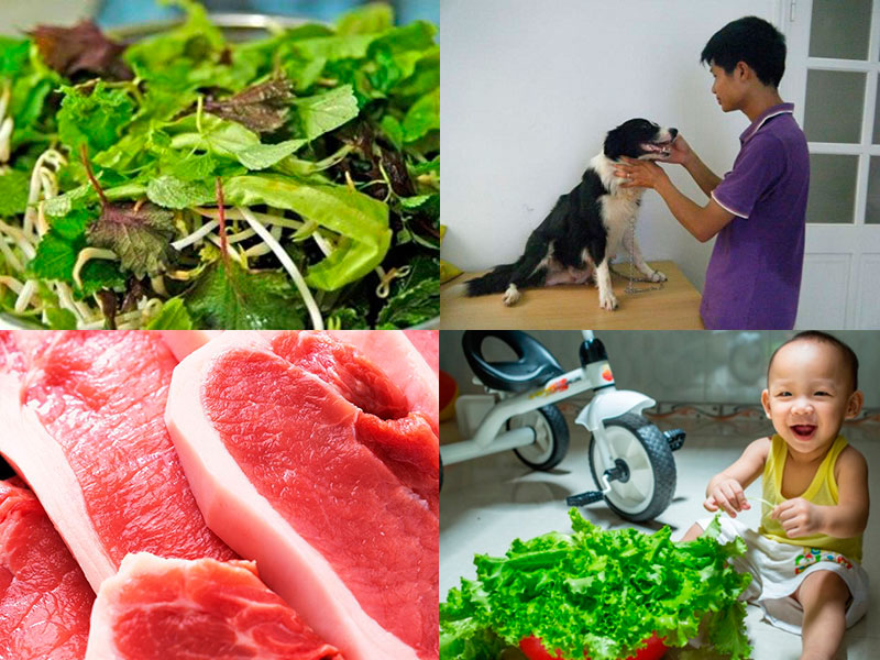 Nguyên nhân mắc bệnh giun sán Piraz 6mg hộp 4 viên - Hỗ trợ điều trị giun sán