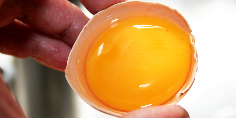  Ăn cả lòng trắng và lòng đỏ của trứng, không nên chỉ ăn lòng đỏ hoặc chỉ ăn lòng trắng