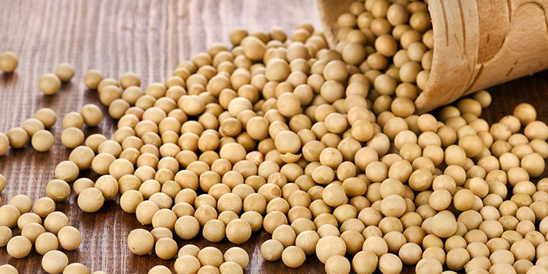 Để chuẩn bị một ruột gối làm bằng đậu nành, bạn cần mua tầm 1.5 đến 2 kg đậu nành.